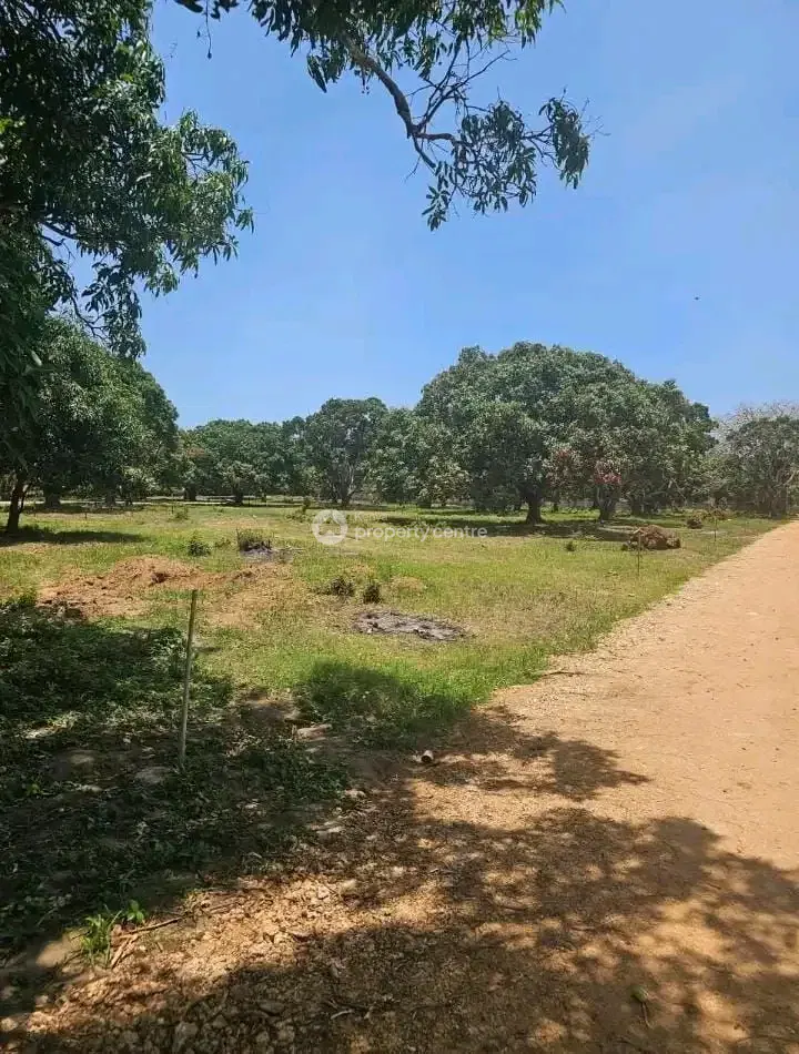 Property advertisement in Vipingo
