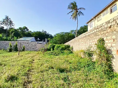 Porini residential plot - listing photo 2
