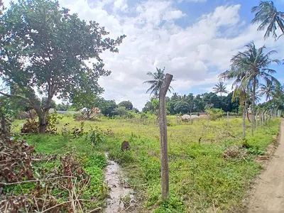 Madzayo half-acre plot - listing photo 4