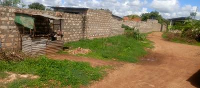 Jumba Ruins half-acre plot - listing photo 2