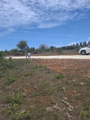 Cleared red-soil plot in Mtondia, near the Mombasa–Malindi road
