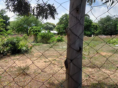 Gede Road one-acre land - listing photo 4